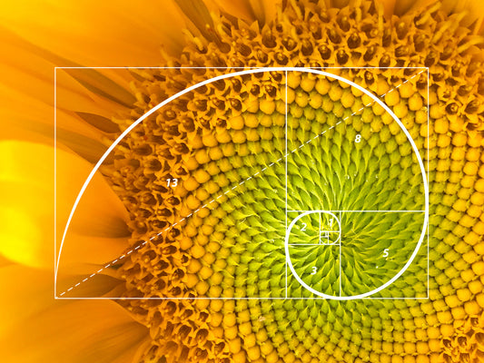 The Secret to Stunning Wall Art: Applying the Golden Ratio to Your Home